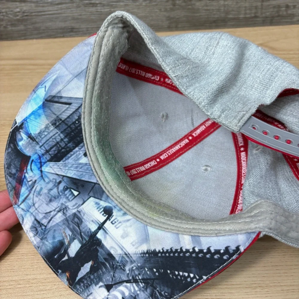 Chicago Bulls Hat Cap Snapback Gray NBA Basketball‎ City Art Promo
